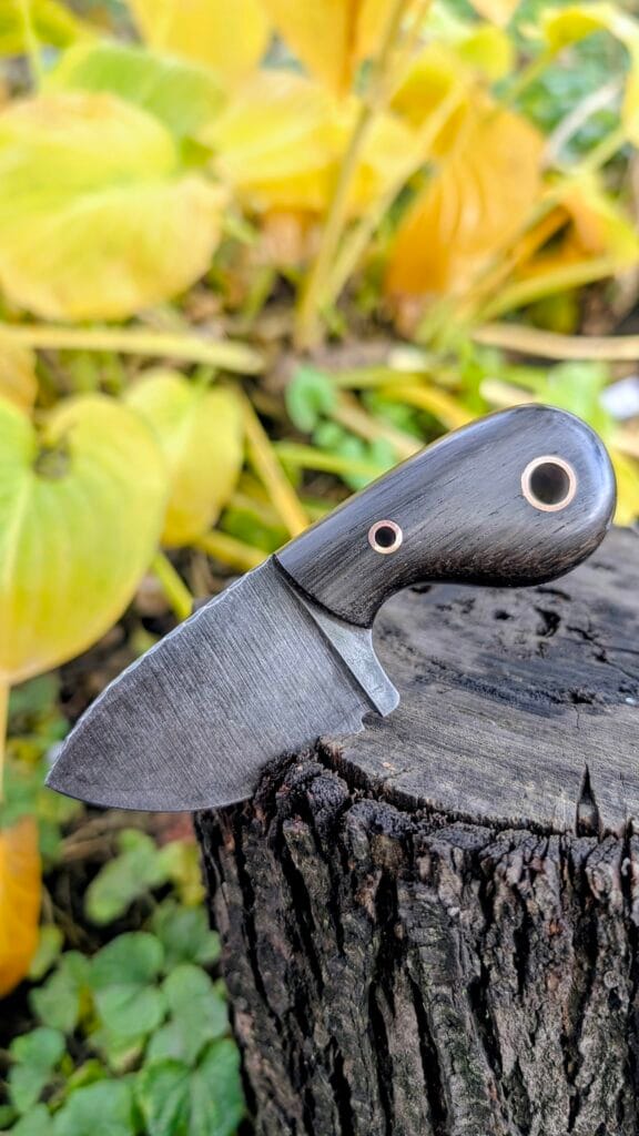 Angled view of the Scarab compact fixed blade knife showing rounded ergonomic lines.