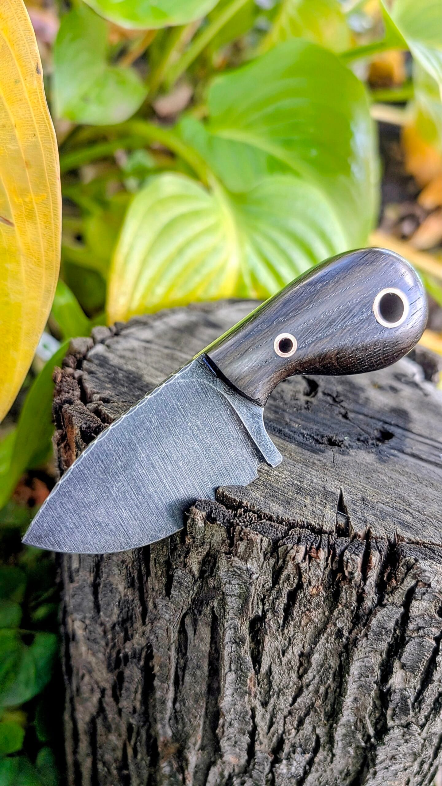 Scarab Knife Spine Detail — 4.5 mm Thickness “Close-up of the Scarab knife spine showing 4.5 mm thickness.”